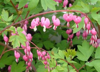 Jakie bryczesy na lato?