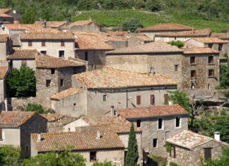 Ile kosztuje orteza na kolano NFZ?