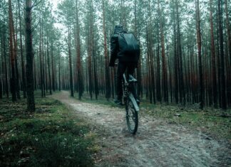 Co to jest stójka w boksie? Co to jest stójka w boksie?