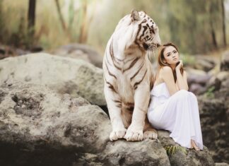 Ile dB Ochrona słuchu?