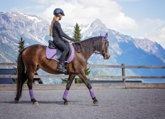 Jak ubrać się na zawody jeździeckie? Jak ubrać się na zawody jeździeckie?