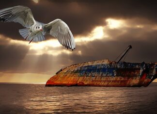 Czy na zawody trzeba mieć frak? Czy na zawody trzeba mieć frak?