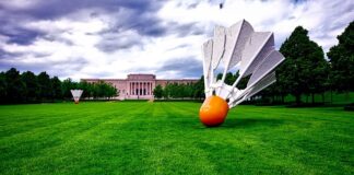 Jakie lotki do badmintona na hali?