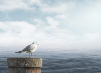 Jak uspokoić kaszel?