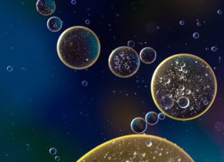 W jakiej wodzie moczyć daktyle?